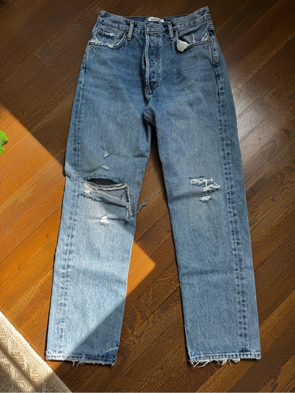 Agolde Light Blue Distressed 90s Pinch Waist Jeans